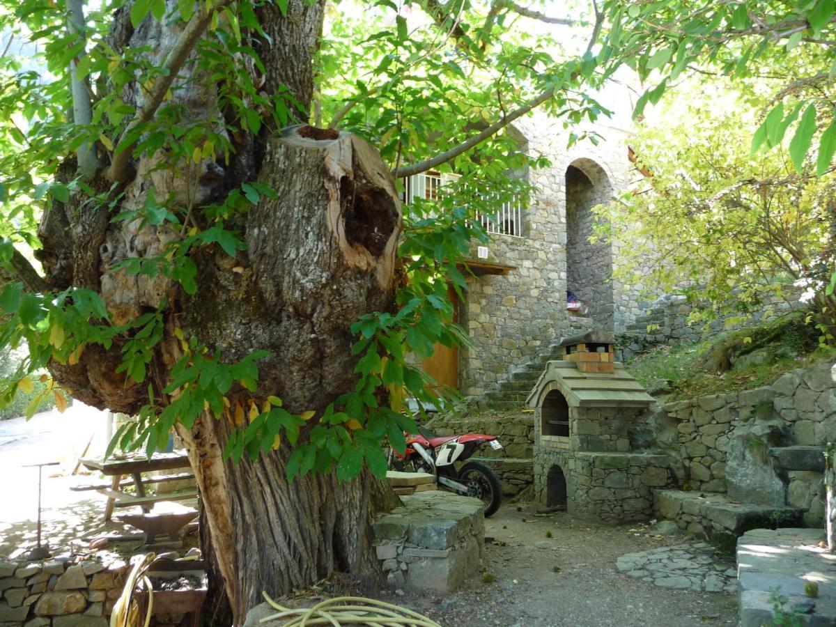 Chambre D'Hote "Chez Antoinette Et Charles" Santo-Pietro-di-Venaco Bagian luar foto