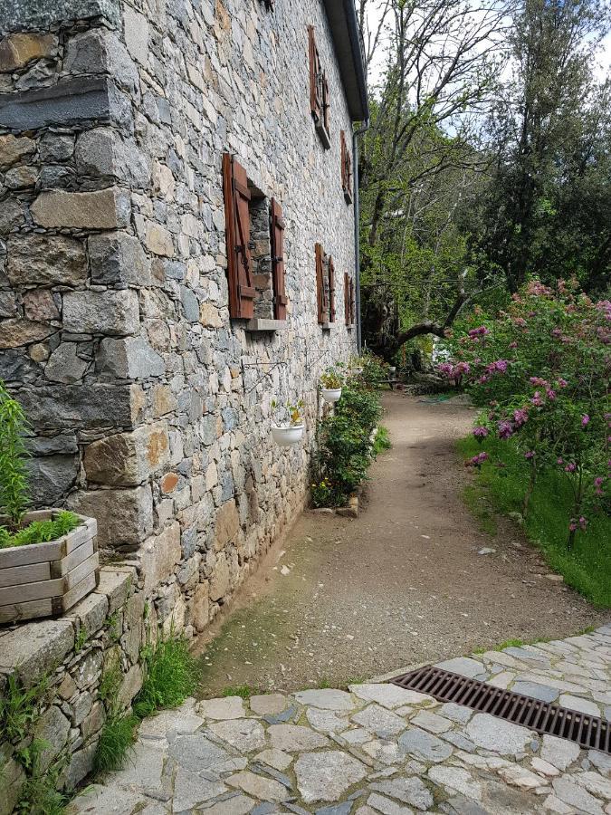 Chambre D'Hote "Chez Antoinette Et Charles" Santo-Pietro-di-Venaco Bagian luar foto